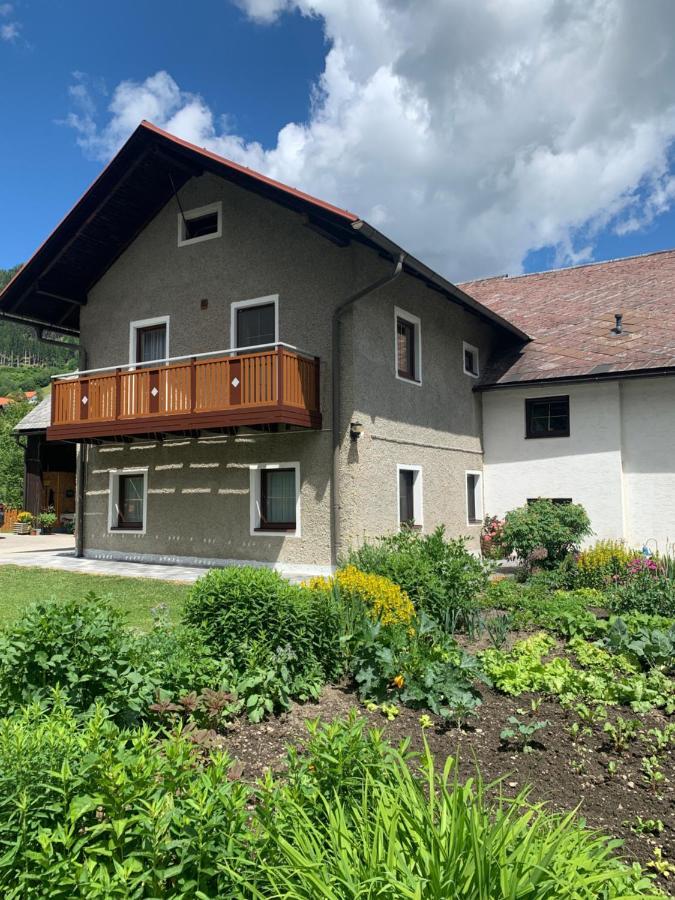 Fewo Luettich Etmissl Exterior foto